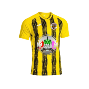 Joma Inter V Jersey  Yellow & Black (Short Sleeve)